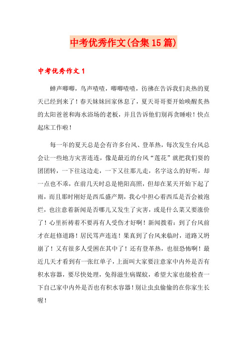 中考优秀作文(合集15篇)
