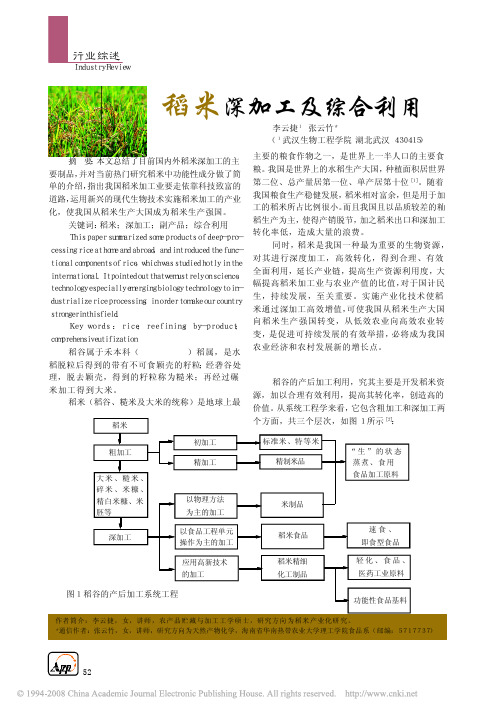 稻米深加工及综合利用(最新、最全的稻米加工技术)