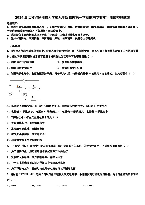 2024届江苏省扬州树人学校九年级物理第一学期期末学业水平测试模拟试题含解析