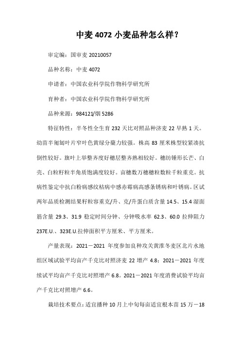 中麦4072小麦品种好不好?