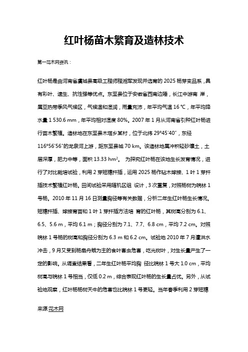 红叶杨苗木繁育及造林技术