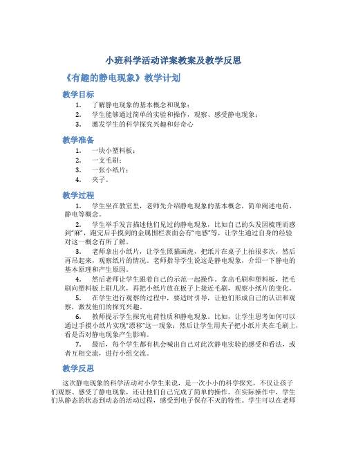 小班科学活动详案教案及教学反思《有趣的静电现象》