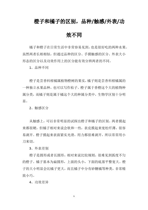 橙子和橘子的区别,品种触感外表功效不同