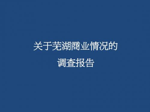 关于芜湖商业情况的调查1315198619