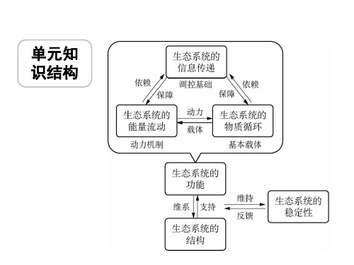 生态系统的物质循环高二生物上学期(人教版必修3)