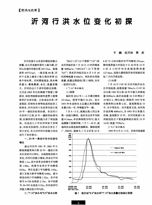 沂河行洪水位变化初探