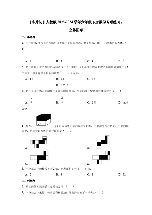 【小升初】人教版2023-2024学年六年级下册数学专项练习：立体图形(含答案)