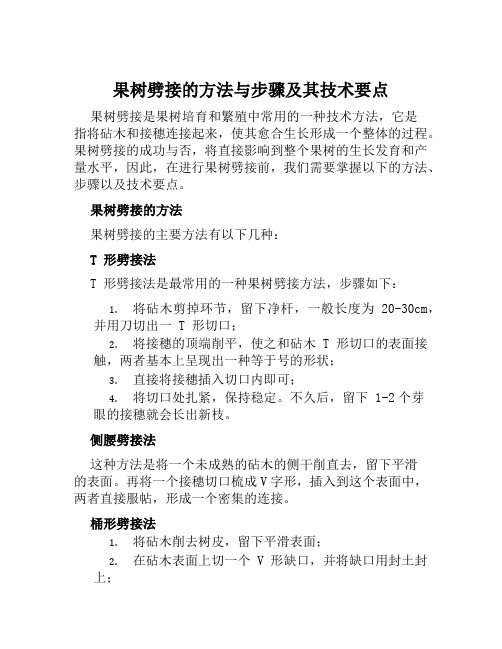 果树劈接的方法与步骤及其技术要点