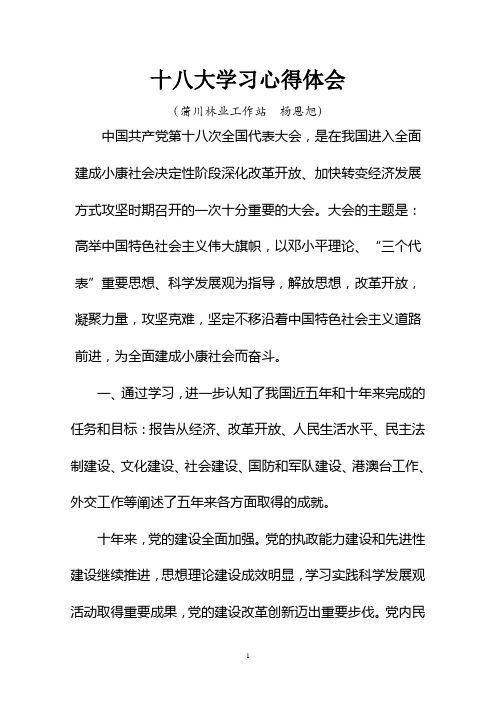 十八大心得体会