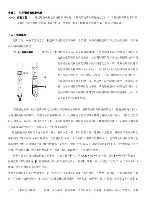 [应用]实验2柱色谱分离植物色素