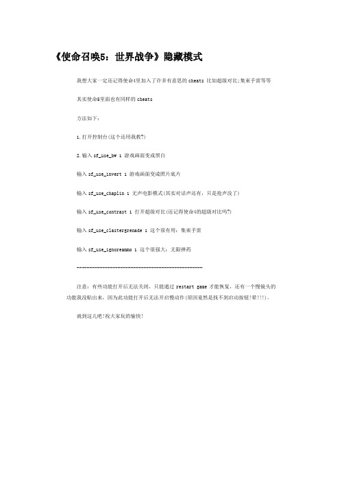 《使命召唤5：世界战争》隐藏模式Microsoft Word 文档