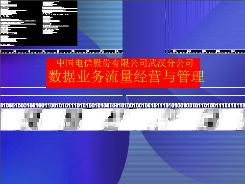 电信经营管理及数据业务管理知识培训教材(DOC 90页)