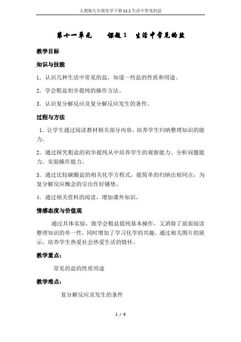 人教版九年级化学下册11.1生活中常见的盐