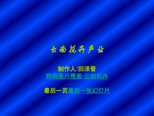 云南花卉产业.ppt