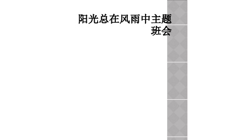 阳光总在风雨中主题班会