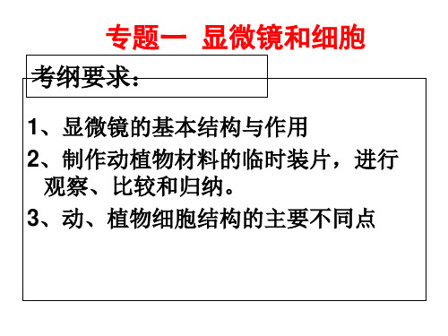 初中生物中考复习专题一、生物和细胞_PPT幻灯片
