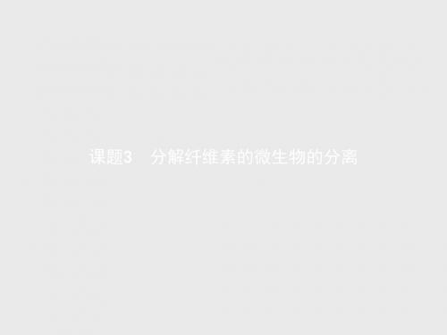 高二生物人教版选修1课件:专题2 微生物的培养与应用2.3 分解纤维素的微生物的分离