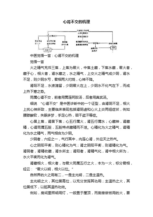 心肾不交的机理