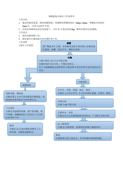 规模猪场分娩舍工作操作流程