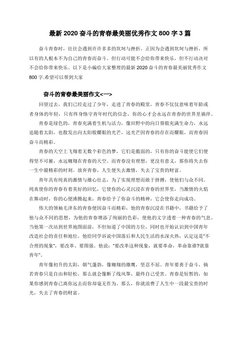 最新2020奋斗的青春最美丽优秀作文800字3篇