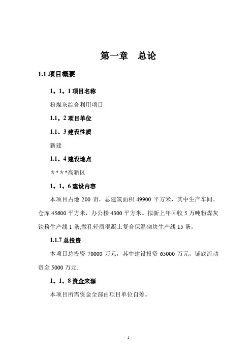 粉煤灰综合利用保温复合砌块可行性研究报告