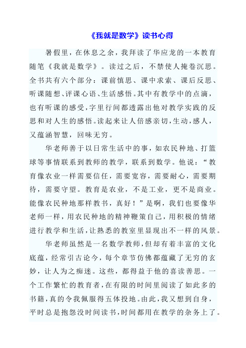 2023年暑假《我就是数学》读书心得