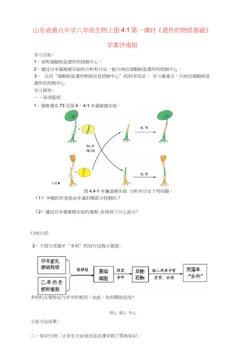 重点中学八年级生物上册4.1第一课时《遗传的物质基础》学案济南版