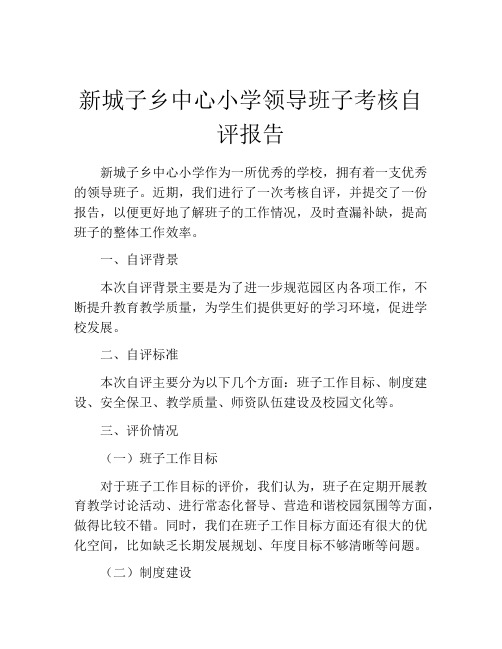 新城子乡中心小学领导班子考核自评报告