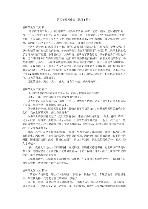 清明节见闻作文(优秀3篇)