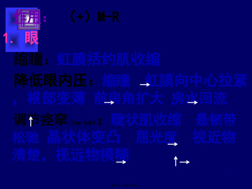 医学专题胆碱能系统激动药和阻断药2462