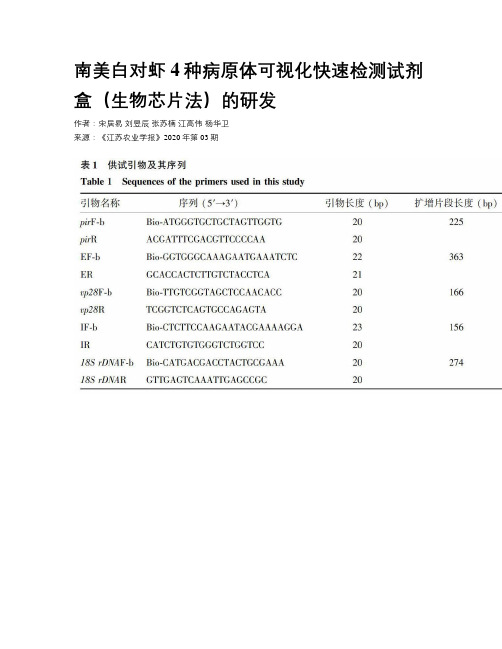 南美白对虾4种病原体可视化快速检测试剂盒（生物芯片法）的研发