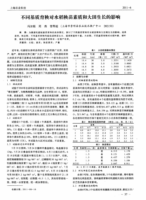 不同基质育秧对水稻秧苗素质和大田生长的影响