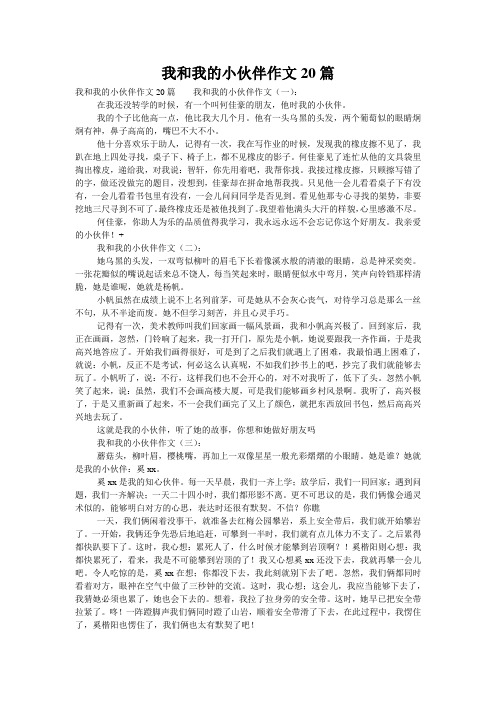 我和我的小伙伴作文20篇