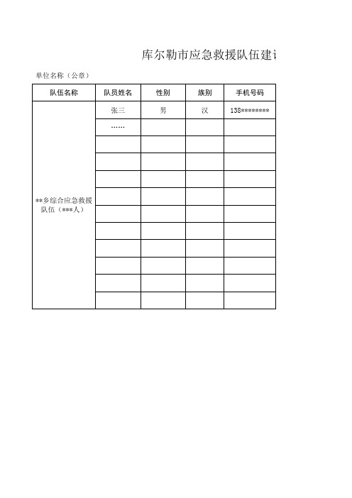 应急救援队伍建设统计表