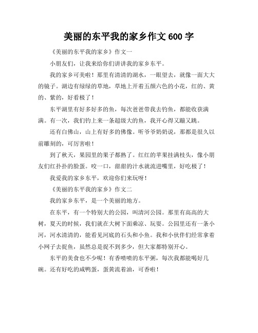 美丽的东平我的家乡作文600字