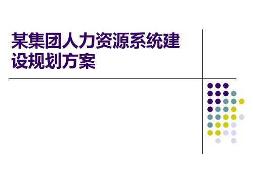 人力资源系统建设规划方案模板