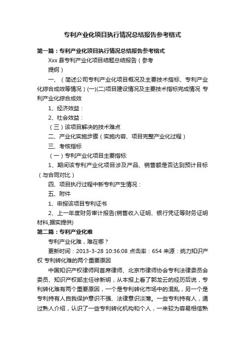 专利产业化项目执行情况总结报告参考格式