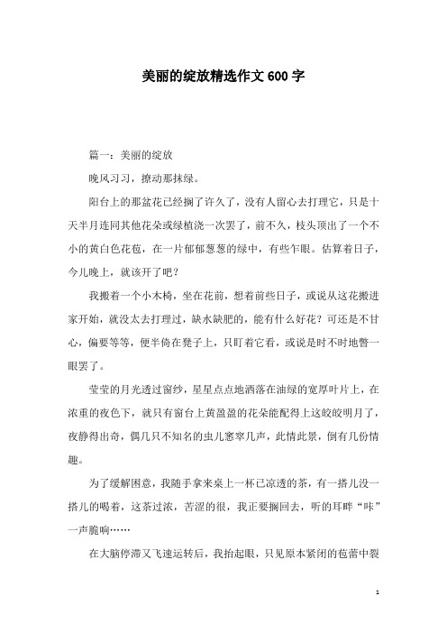 美丽的绽放精选作文600字