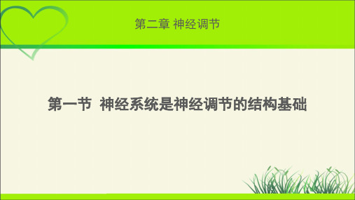 《神经系统是神经调节的结构基础》示范公开课教学课件【高中生物浙科版(新课标)】