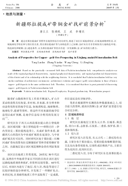 新疆那拉提成矿带铜金矿找矿前景分析(唐兰兰,张晓帆,王成,李增兵,《金属矿山》2006.2)