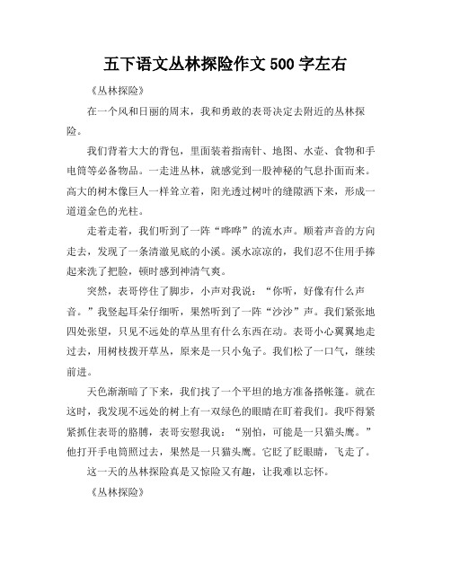 五下语文丛林探险作文500字左右