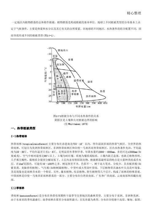 植被类型