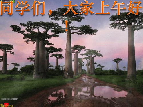 北师大版七年级下册数学课件:1.5平方差公式(1)(17张ppt)