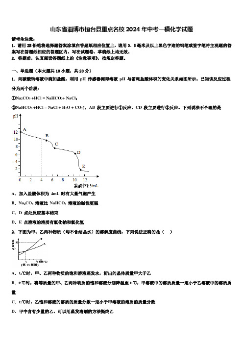 山东省淄博市桓台县重点名校2024年中考一模化学试题含解析