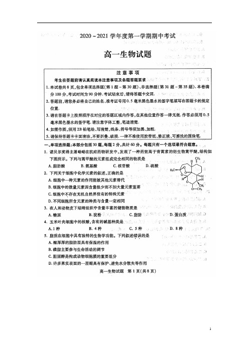 江苏省徐州市2020-2021学年高一上学期期中考试生物试卷 扫描版含答案