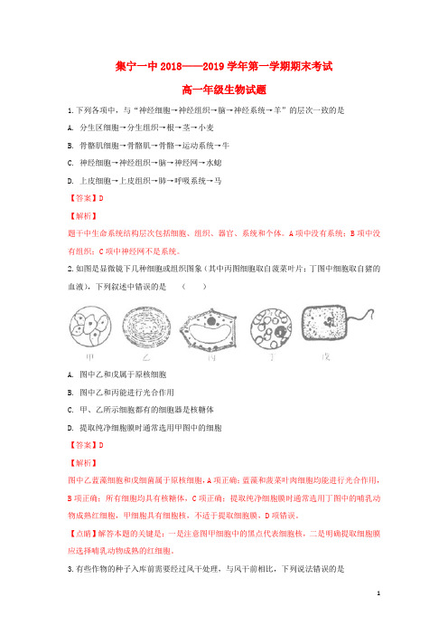 内蒙古自治区集宁一中2018_2019学年高一生物上学期期末考试试题(含解析)