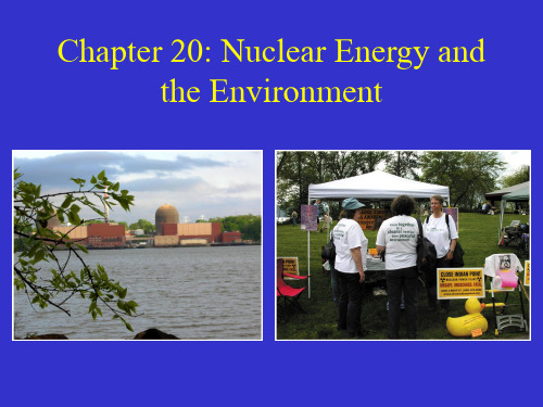 Nuclear Energy and the Environment