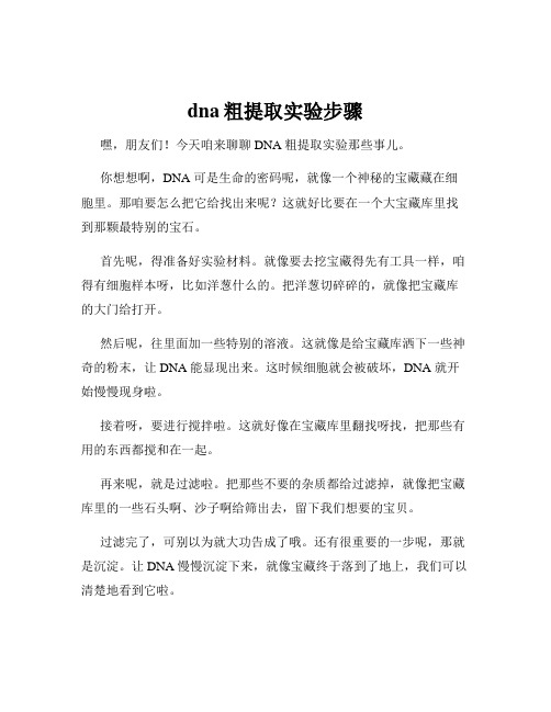 dna粗提取实验步骤