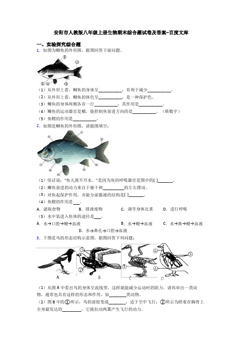 安阳市人教版八年级上册生物期末综合题试卷及答案-百度文库