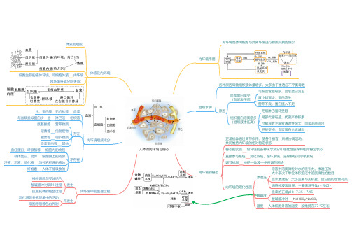 高中生物专题复习人体的内环境与稳态思维导图